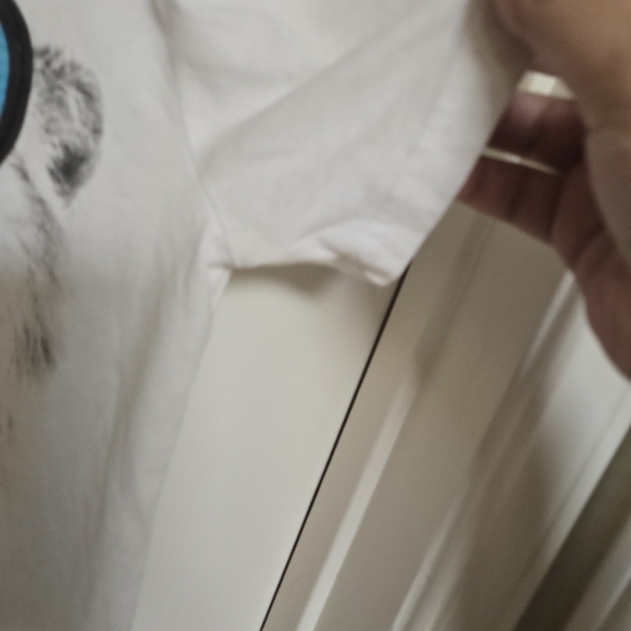 Abercrombie Kids Boys 9/10 Lion Graphic Tee Casual Play - Picture 4 of 10